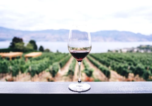 Unlock Merlot's Mystery: Is Merlot Sweet or Dry? Taste Guide Inside